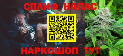гидра Краснознаменск