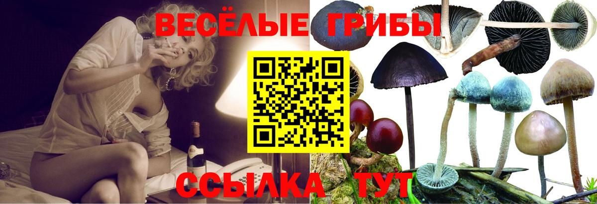 купить  сайты  Вход с VPN  Касимов  Галлюциногенные грибы прущие грибы 