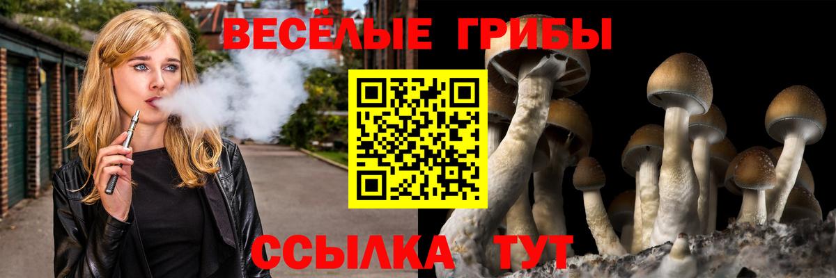 Псилоцибиновые грибы Magic Shrooms Касимов